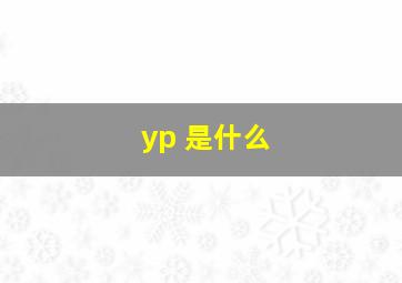 yp 是什么